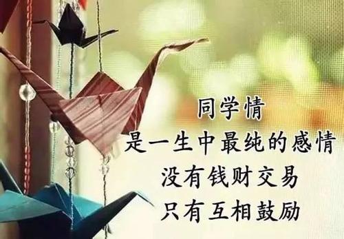 今天，当我看到它时，我会看到。