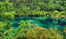 九寨沟黄龙仙境游记_400字