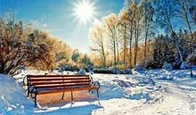 冬天的味道_600字