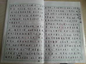 奶奶的构图：眼睛生长在我身上_650字