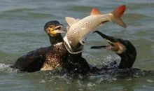 精彩一瞬间_900字