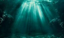 “景色”海洋_550字