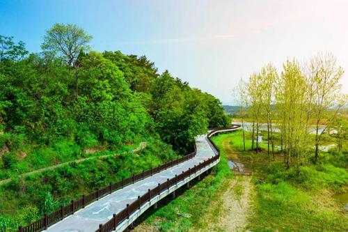 所有道路风景_500字