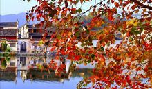 家乡风景美如画_450字