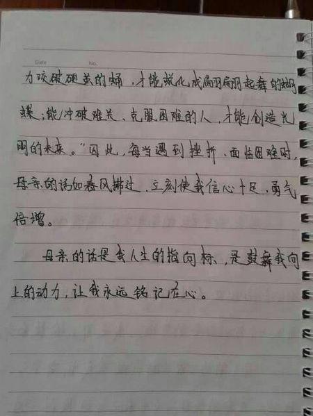 南岸景观旅行_450字