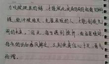 南岸景观游记_450字