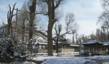 家乡的美景_750字