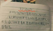 关于奶奶的作文：我的奶奶（四）_900字