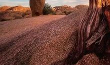 大自然，触动我的心灵_750字