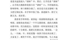 奶奶家的雪中生活_600字