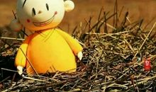 催人泪下的母爱_550字