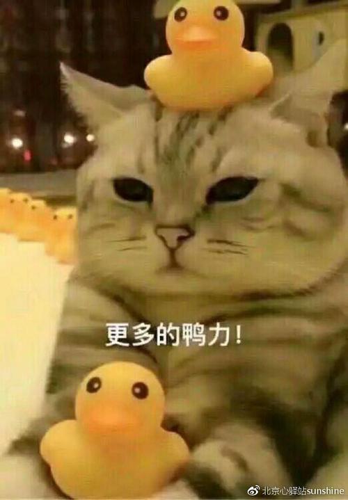 在心里失踪，我也想念我。