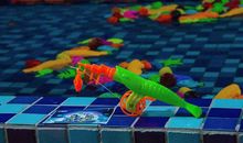 宁可做小小的天才_750字