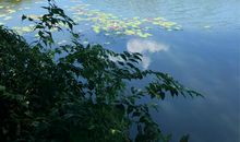 青春——葱茏的岁月_800字