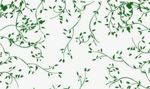 藤蔓·人生_650字