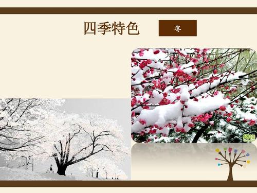 美丽的兰州_650字