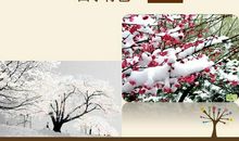 美丽的兰州_650字