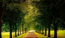 我的成长，在那幽静的小路上_800字