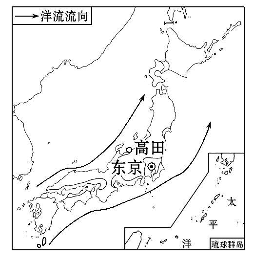 高差分成分：蟹黄唐包装1200字