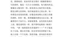 高二状物作文：鲸_1000字