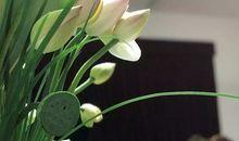 文字,是我红尘中的记忆_1000字