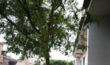 我记忆中的乡村_800字