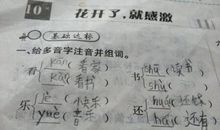初二期中考试作文：一件遗憾的事_800字