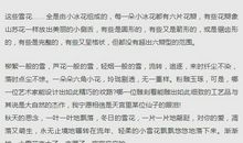 描写关于春节过年的好句好段精选_450字