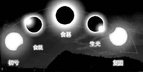 我看到所有食物的整个过程_600字