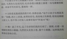 写春节的好句好段摘抄_2000字