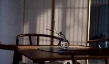 关于感动的作文：从守望雪海到感动叶落_700字