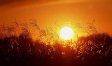 十五岁的天空_650字