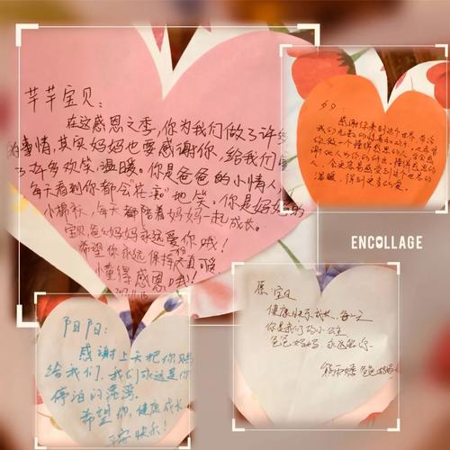 感激的鲜花，绽放幸福_1000字