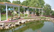 关于校园的作文：校园的景色_200字