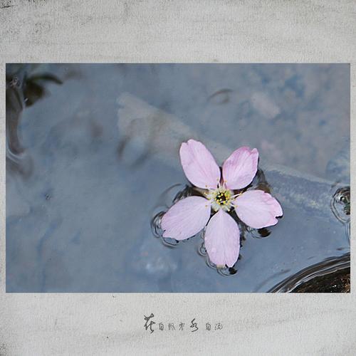 浮水从浮水，自流_800字