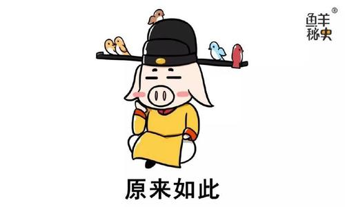 宋庆打破了牛玉山高亚阳双人_600字