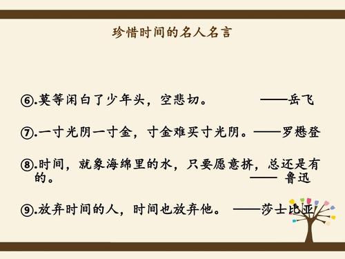 一分钟值_250字