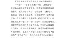 关于母亲节的作文：母亲节_600字
