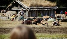 醉卧沙场君莫笑，古来征战几人回。_550字