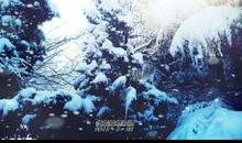 第一场雪(3)_200字