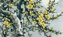 梅花的“聪明”_550字