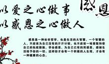 关于感恩的英语作文范文三篇