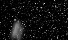 纷飞之雪花_500字