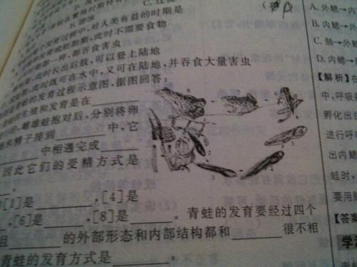 感恩的组成：感恩节陌生人（四）_450字