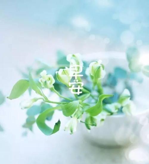 清晨雨天_200字