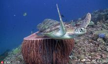 闭上眼是另一个世界