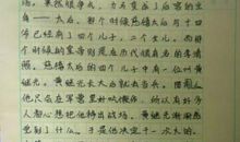 关于雨的作文：冬季到苏北来看雨_1200字