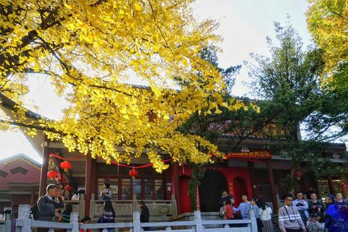 秋天的风在北方国家，没有阳光干燥，没有夏季时间，没有徒步旅行，新鲜有一个凉爽的凉爽，包括有点凄凉，有害羞，委婉，温柔和隐含;温柔，温柔，有一丝鲜艳的颜色，绿色混合，就像一张古代线圈的图片，似乎我不想离开，我可以欣赏它。就像一个老人，在他的路人之后，几乎无法下垂皱纹，中间的几个白发，让人们感到无意，这是一年的匆忙，吹蓝天，勺子让人突然觉得天空是深远的，宽阔的，心脏突然打开。这就像一个顽皮的孩子，我要离开飞行燕子。这就像飞向南方的奇怪，但我很想在接下来的一个，然后在下一个，然后慢慢蹲下，默默地抱着一朵血腥的海滩花，她害怕，就像思考它，看来同时期待，当下一个花被阻止时。
