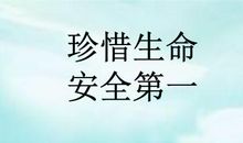 安全第一珍爱生命_500字
