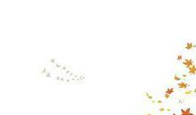 秋天的声音_700字